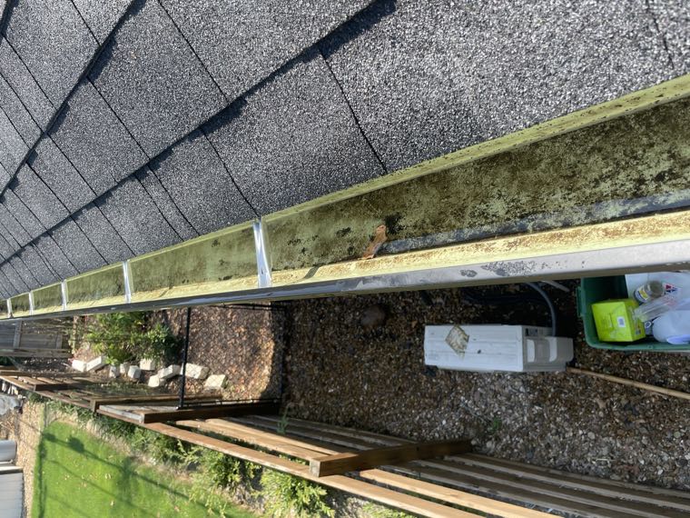 Roof gutter cleared of packed leaves and debris
