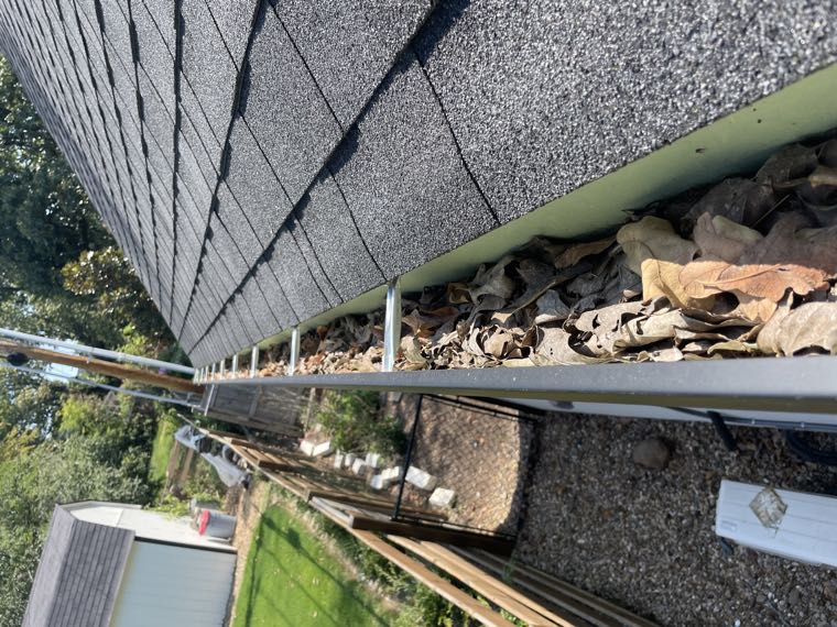 Gutter packed solid with leaves and debris before cleaning