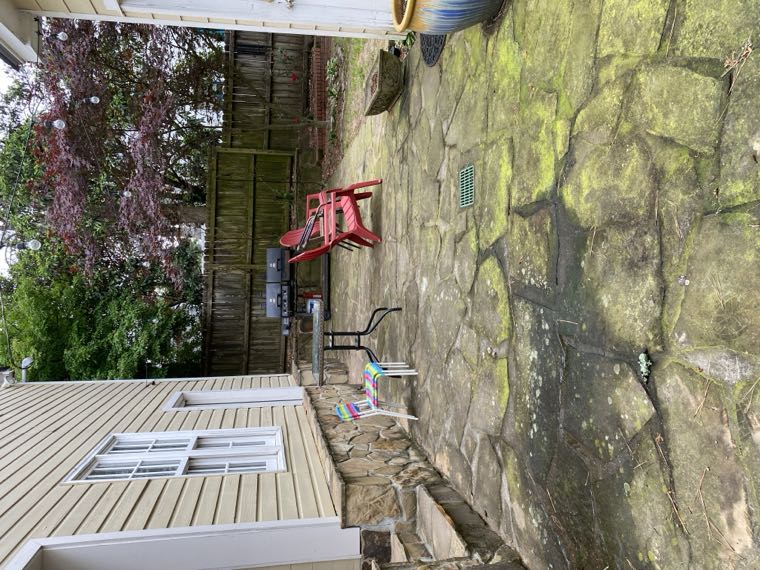 Flagstone patio covered in green moss before cleaning