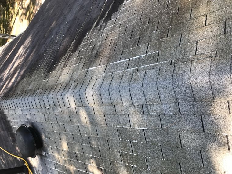 Shingle roof partway through a soft wash, cleaned section beside the untreated section